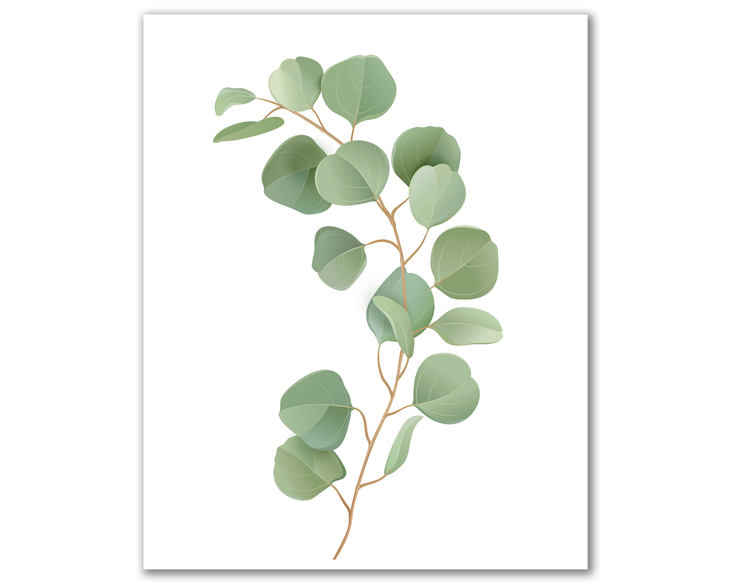 Set of 3 botanical prints, farmhouse decor, eucalyptus prints, boho wall decor, minimalist decor, greenery print, floral wall art 04012